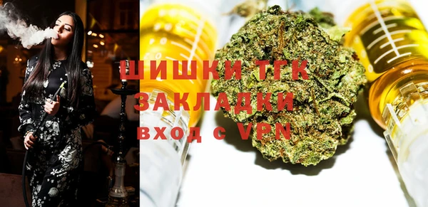 дживик Абаза