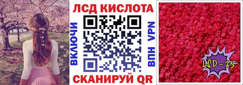 где можно купить наркотик  Челябинск  Марки N-bome 1,5мг 