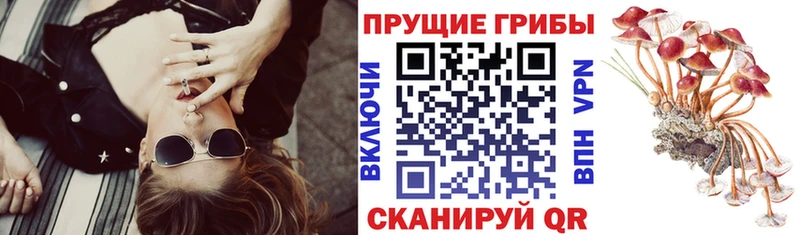 Галлюциногенные грибы мухоморы  купить   Челябинск 